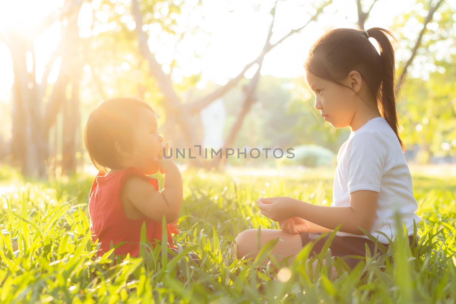 Beautiful young asian kid sitting playing in summer in the park with enjoy and cheerful on green grass, children activity with relax and happiness together on meadow, family and holiday concept.