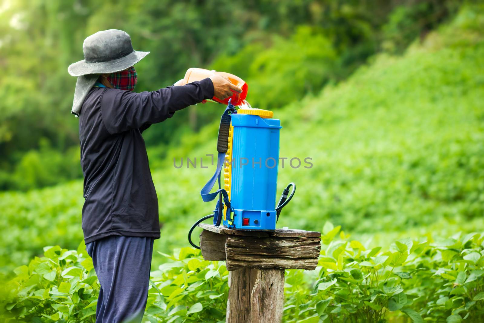 Farmers are preparing insecticide spraying in soybean field. Copy space for text. Concept of campaigning to stop using insecticide and herbicides in agriculture.