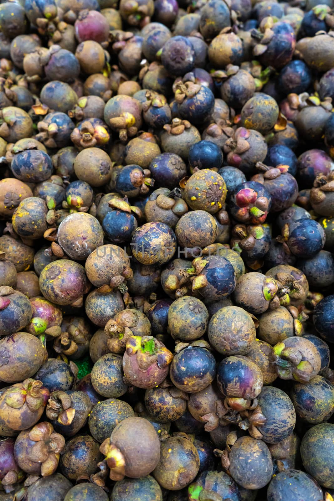 Mangosteen fruits fill the frame close up.