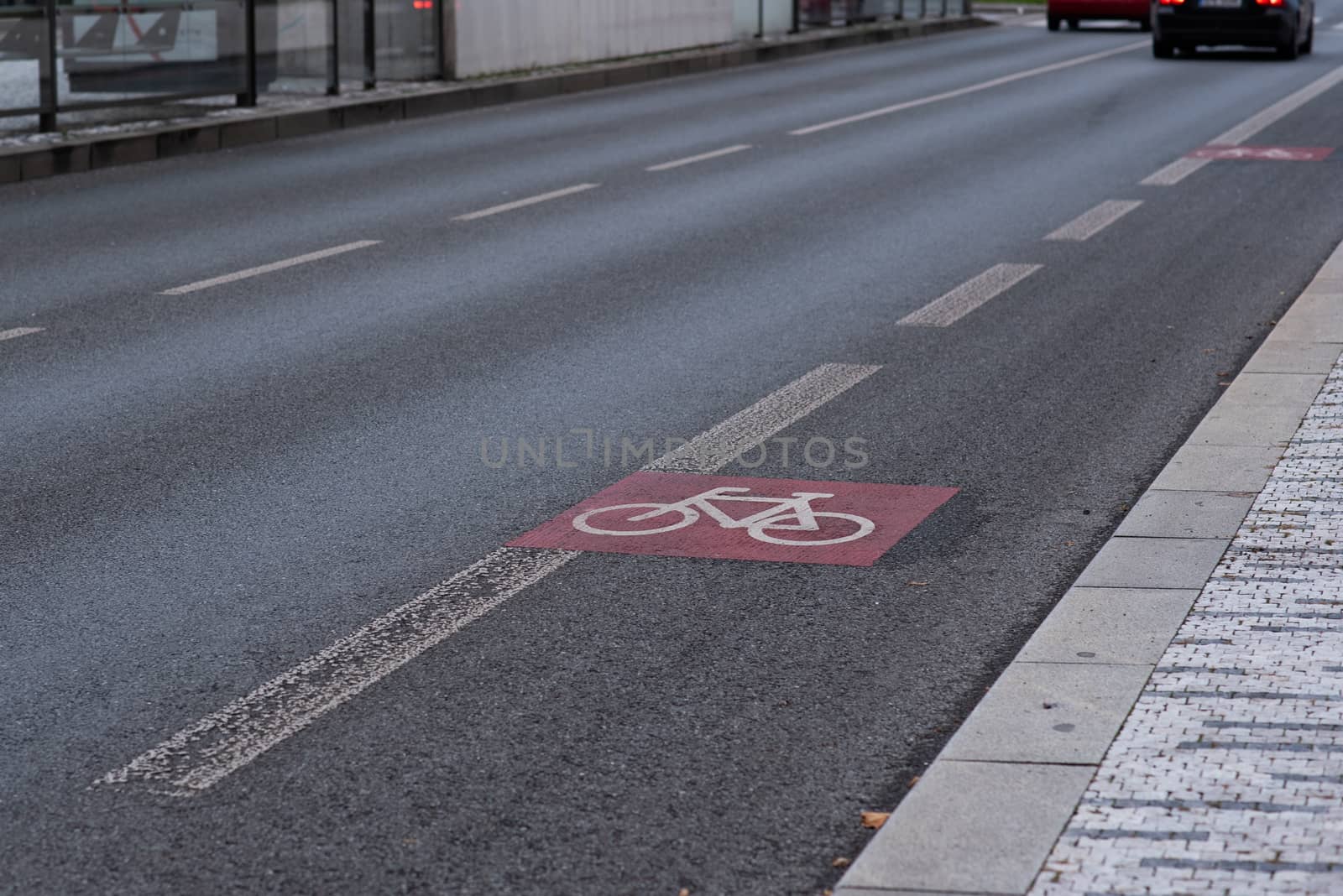 The bicycle sign painted on the asphalt on the city