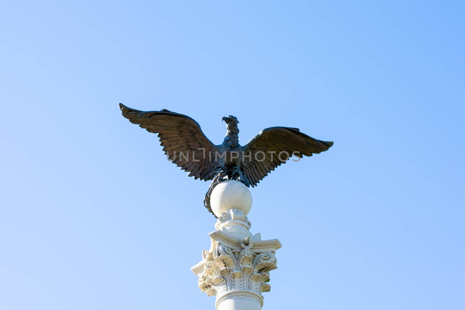 The Bird on Top of one of the Pennsylvania Columns in Valley For by bju12290