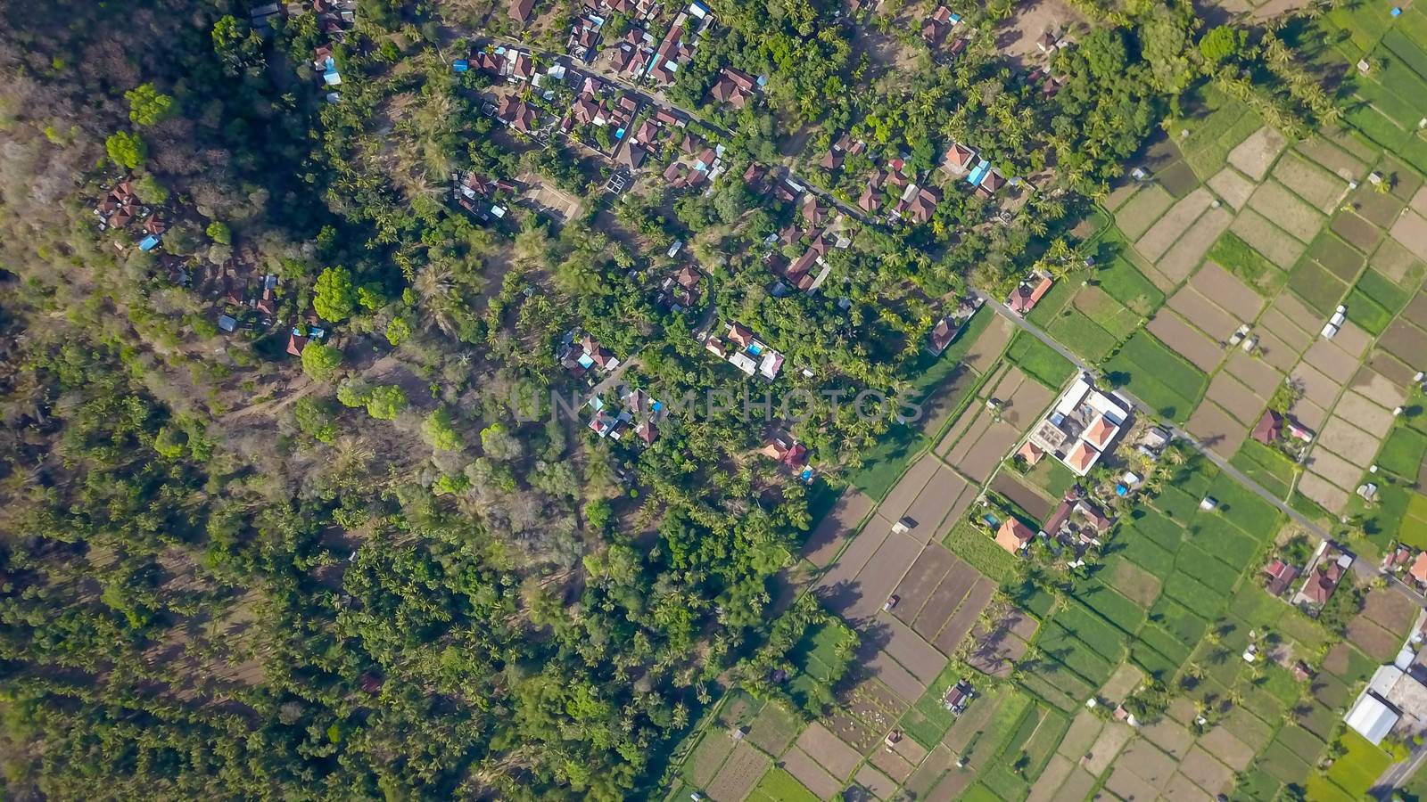 Many villas with brown-orange shingle roofs between tropical trees on the sky background in Ubud on Bali. Sun is shining onto them.