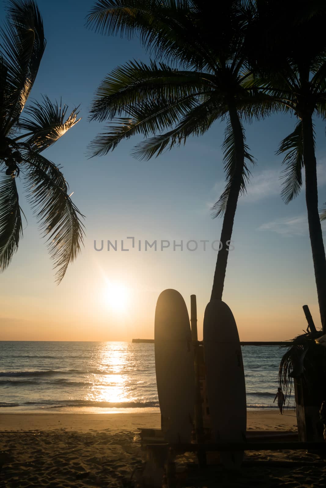 Surfboards beside coconut trees at summer beach with sunset light background.