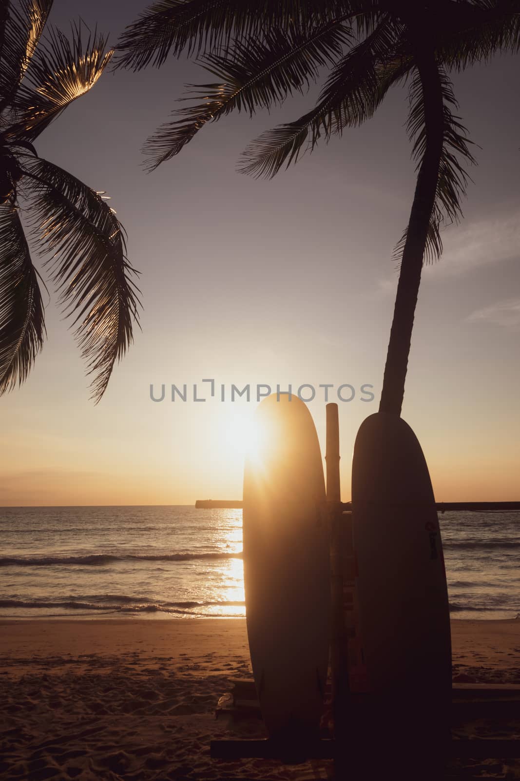 Surfboards beside coconut trees at summer beach with sunset light background.
