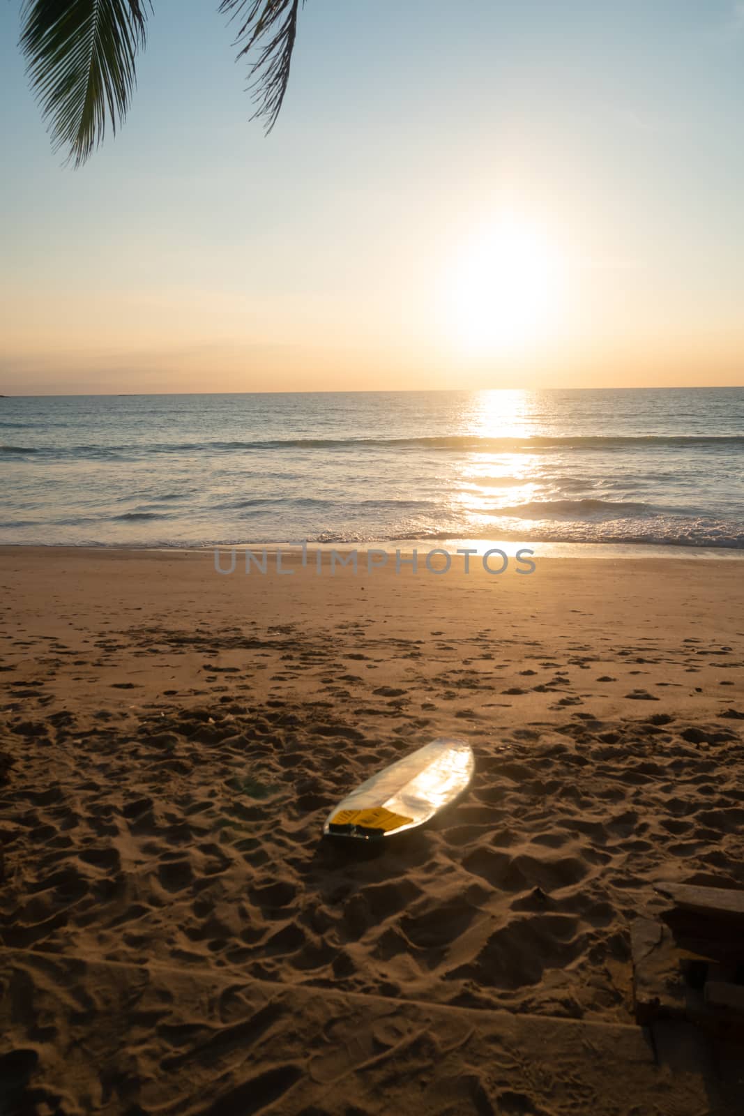 Surfboards beside coconut trees at summer beach with sun light. by Suwant