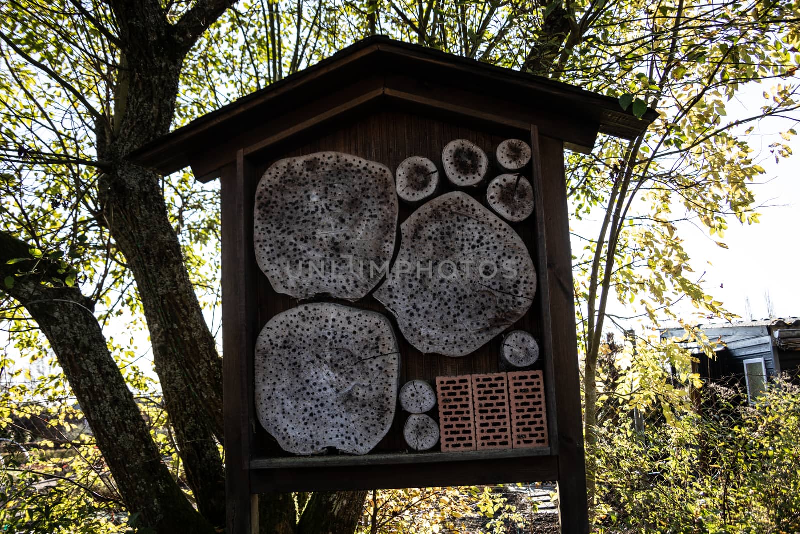 Insect hotel in the garden as a nesting aid for insects