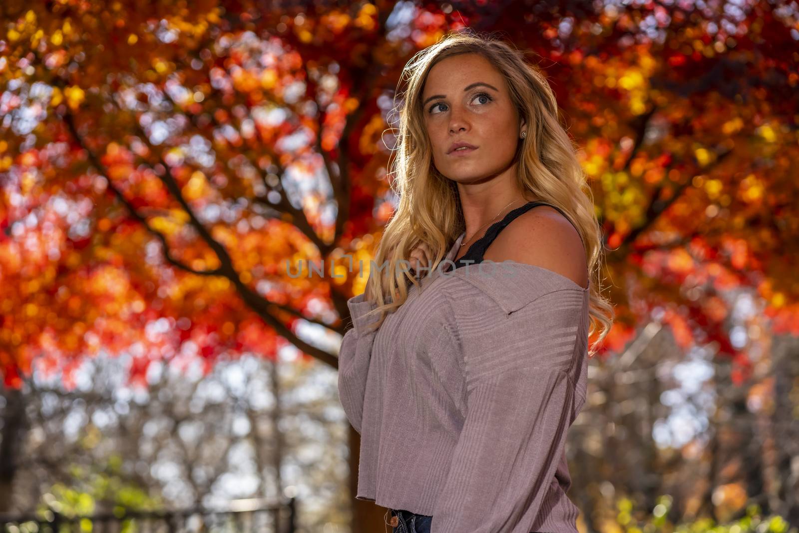 A Lovely Blonde Model Enjoys An Autumn Day Outdoors At The Park by actionsports