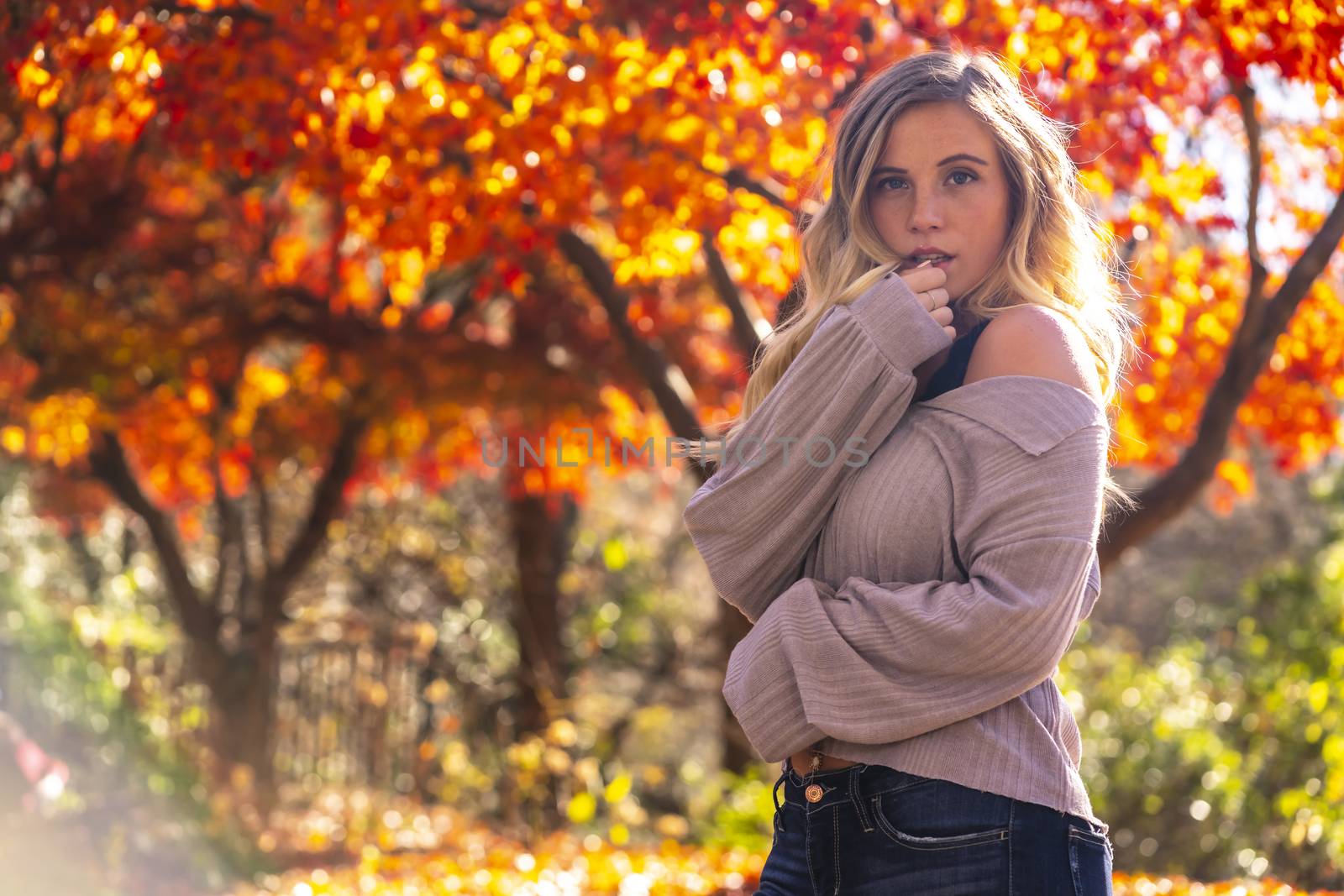 A gorgeous blonde model enjoys a Autumn day outdoors in a park