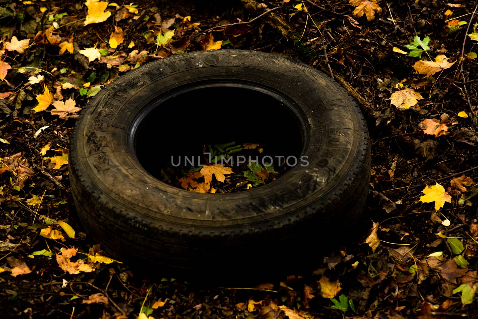 Abandoned tyre surrounded by yellow leaves on an Autumn day by gonzalobell