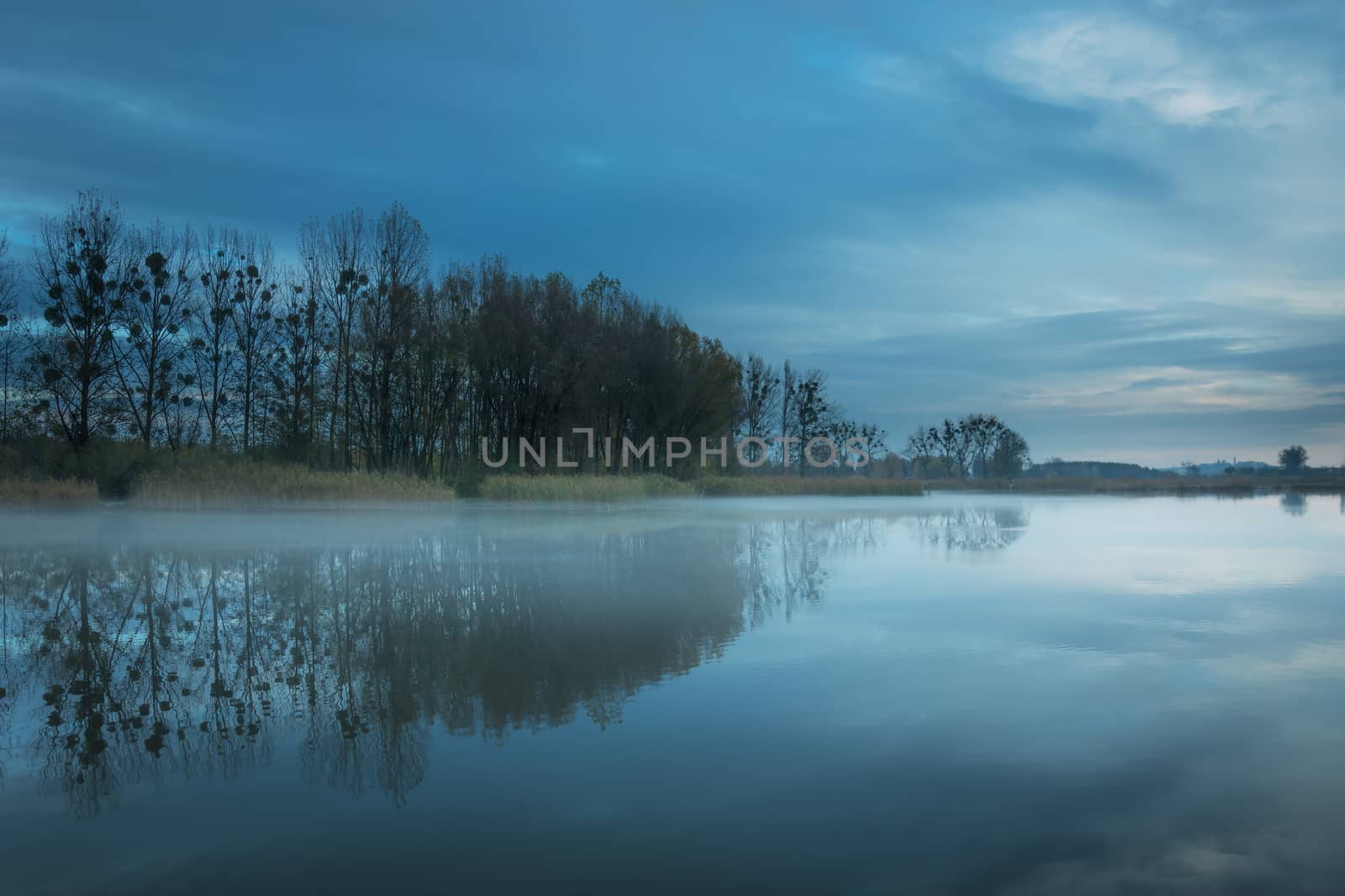 Misty lake, trees without leaves and the evening sky, october view