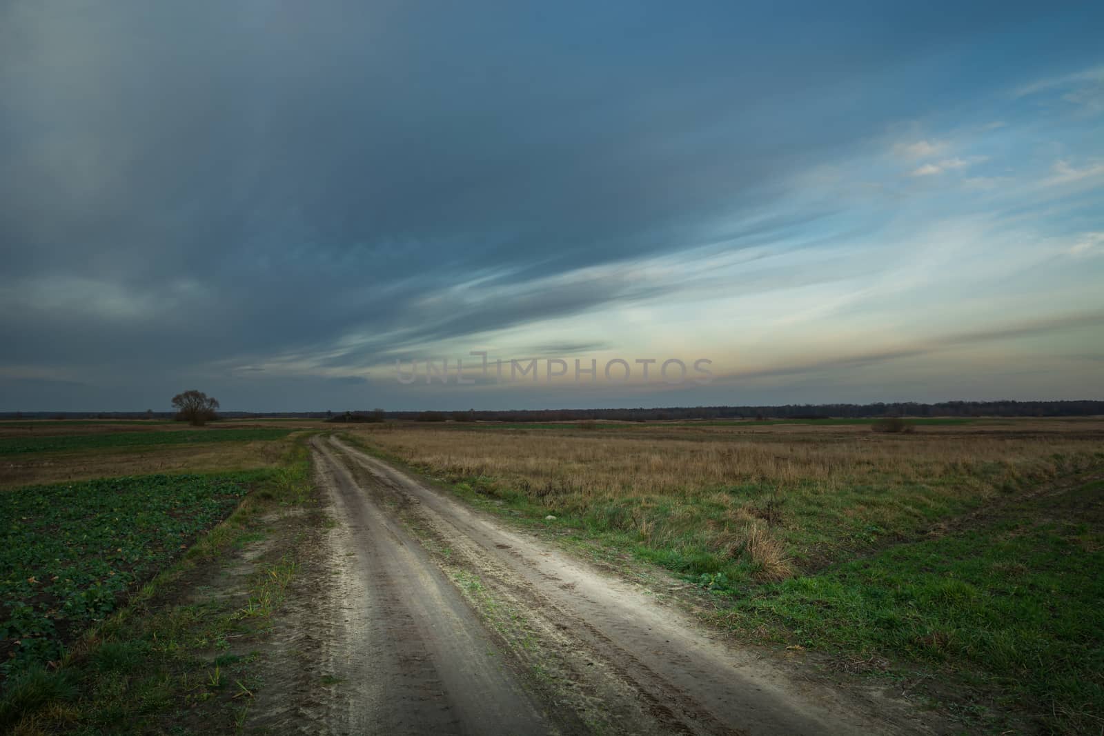 Sandy road through fields and evening fantastic clouds