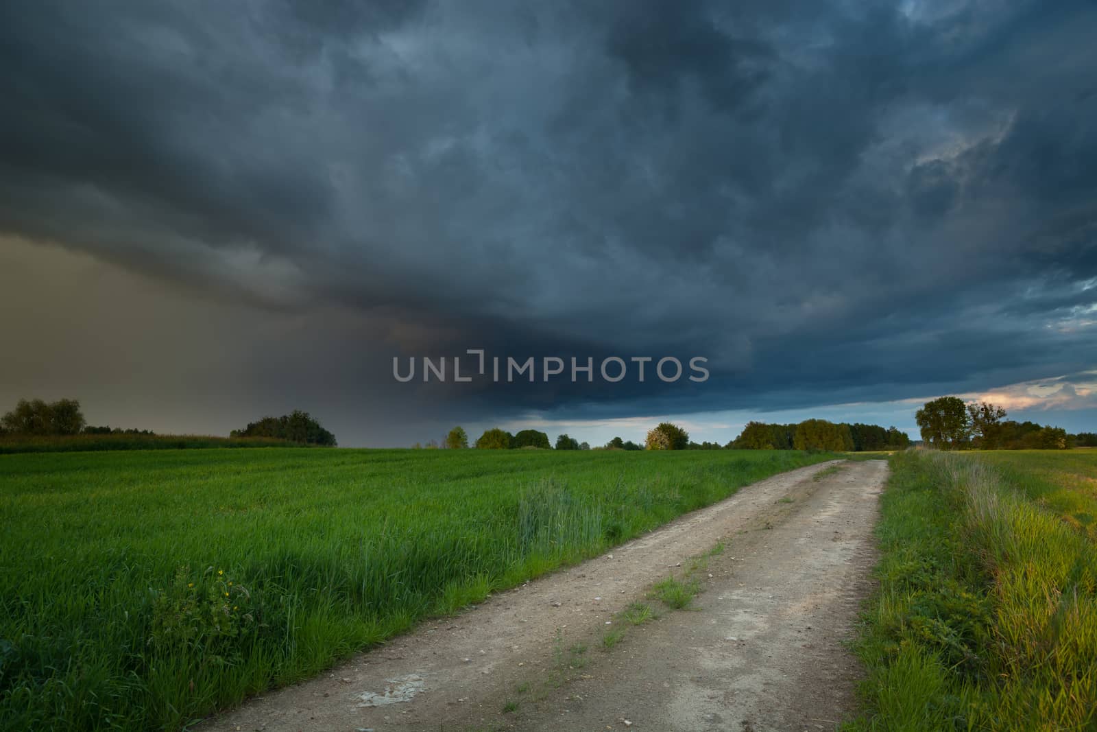 Rural road in a green field and the dark cloud with rain, summer view