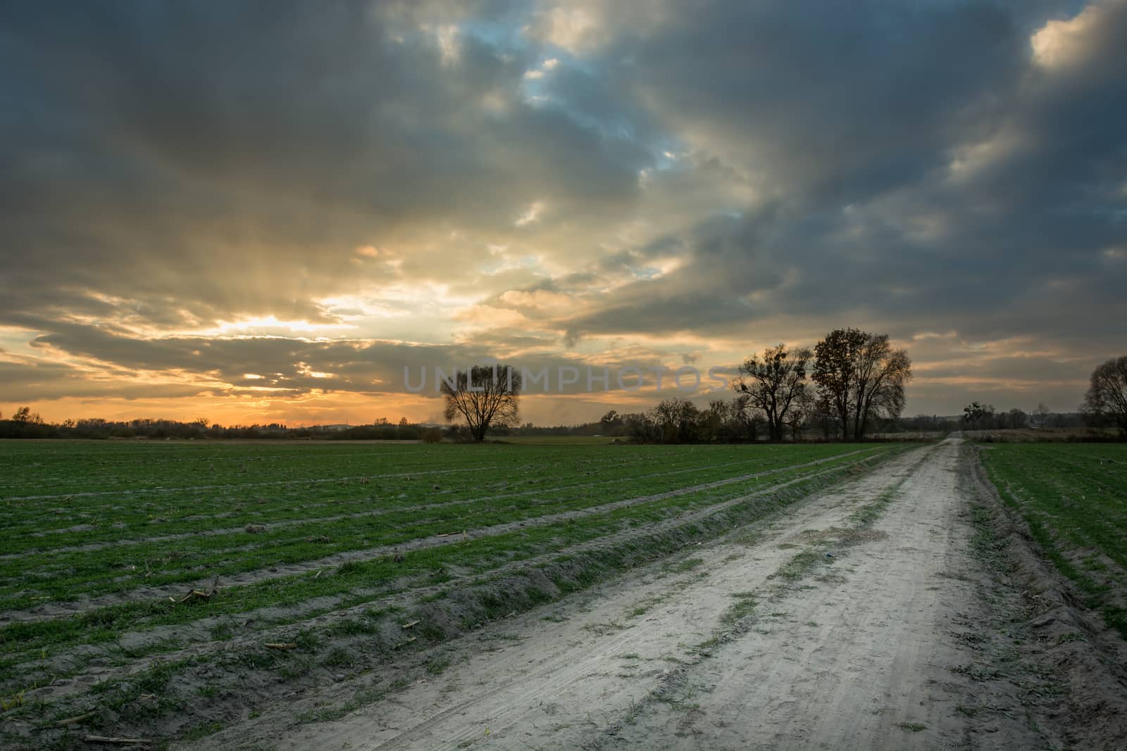 Rural road through green fields and sunset, evening view