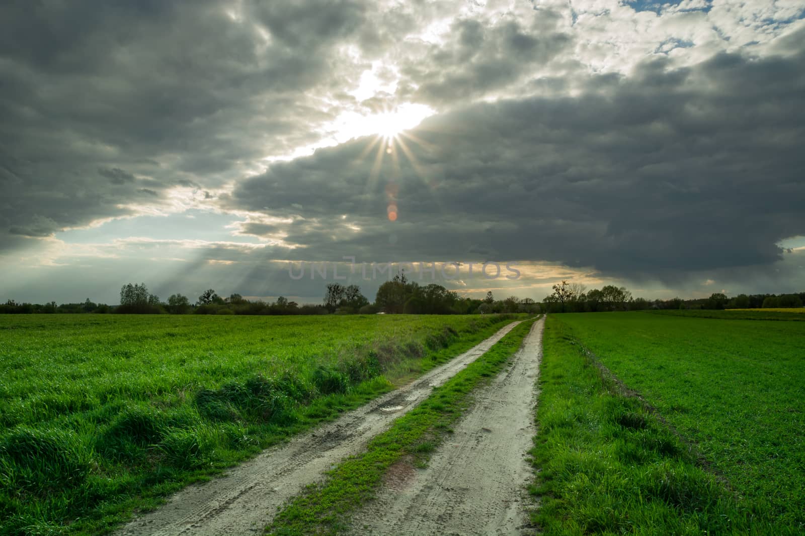 Dirt road through green fields and sun in gray clouds, summer view