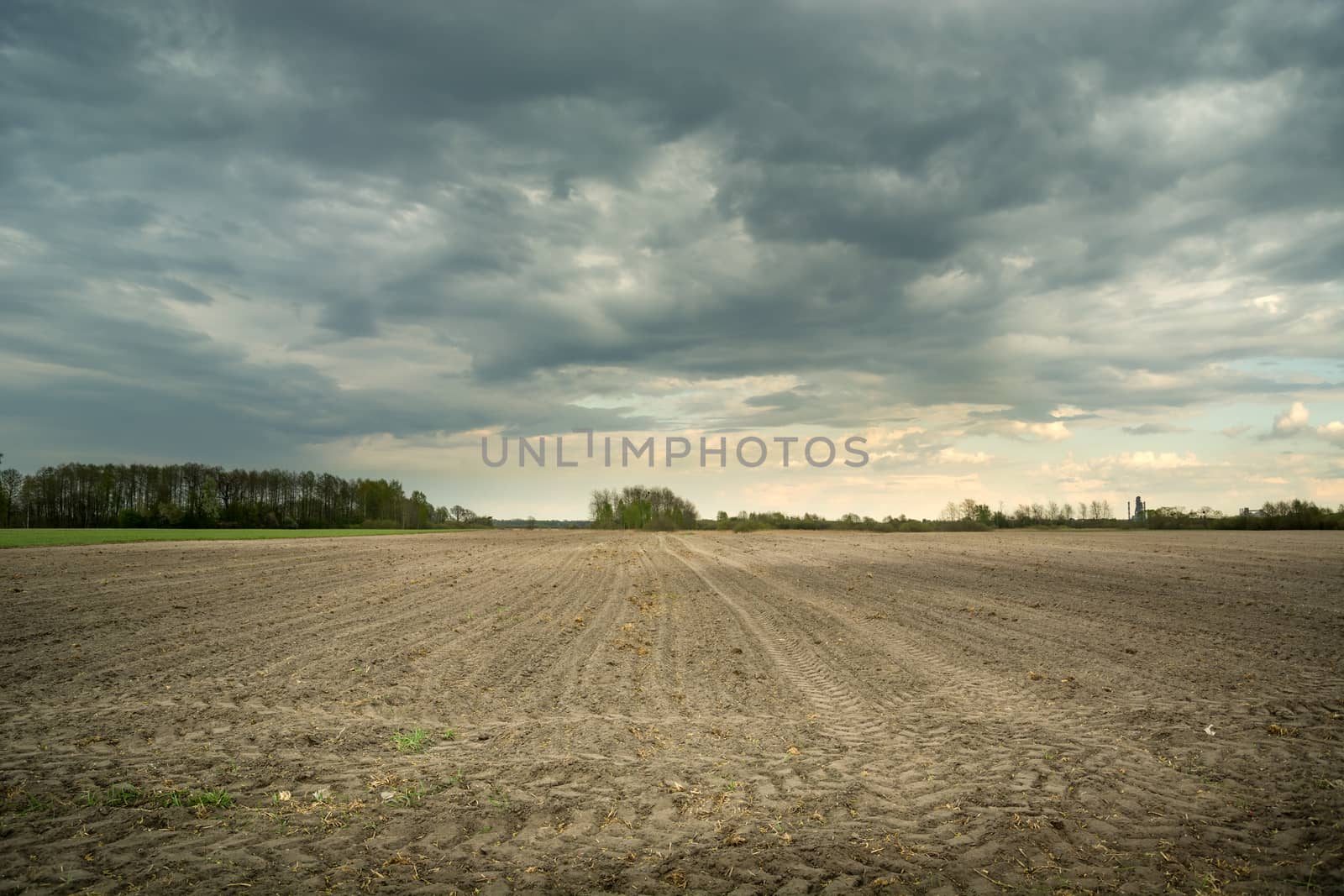 A plowed field, trees on the horizon and dark clouds on the sky, spring view