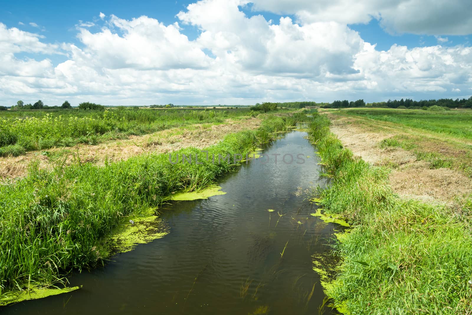 The small river Uherka in eastern Poland, summer view