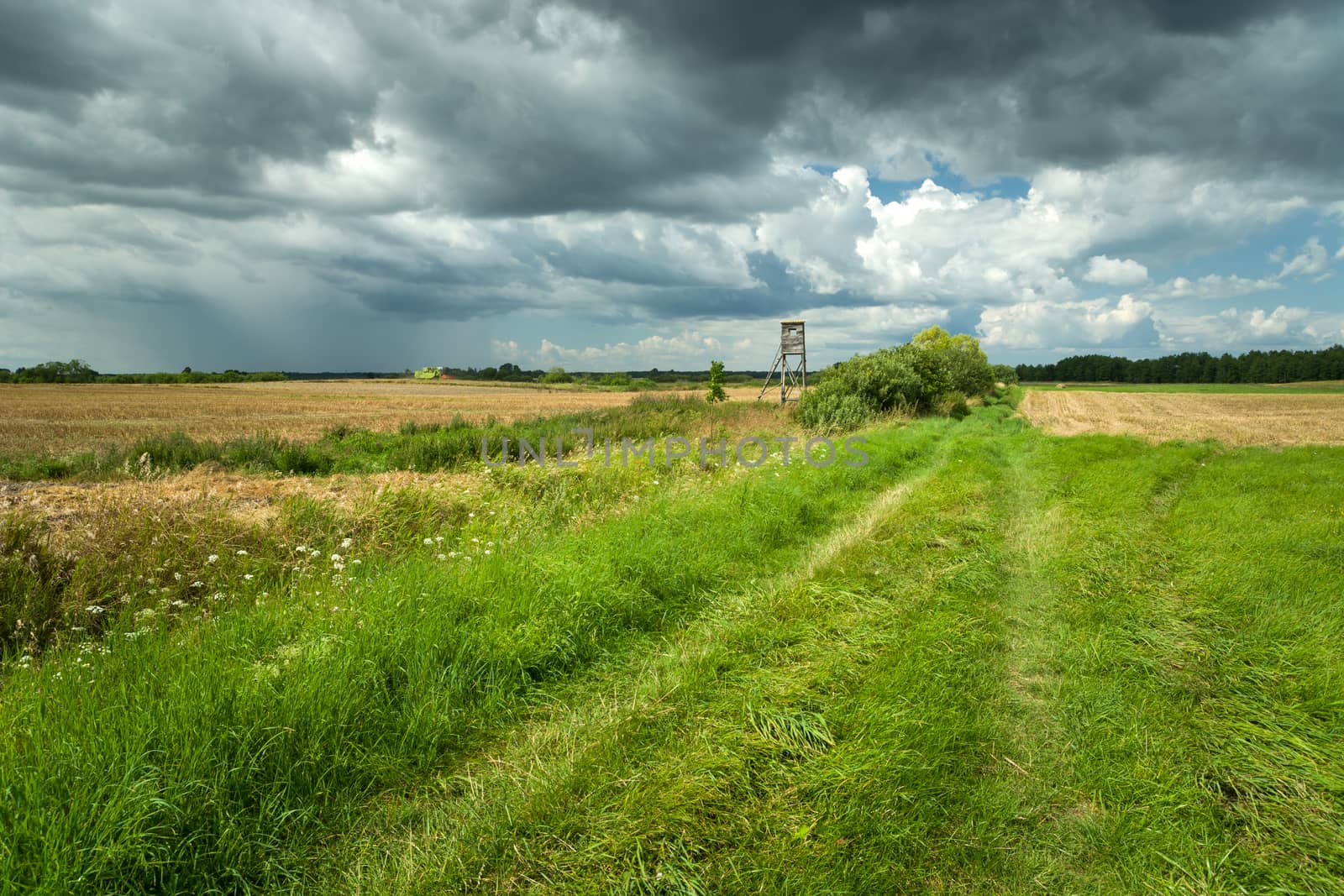 Grassy road to the field and rain cloud, summer view in eastern Poland