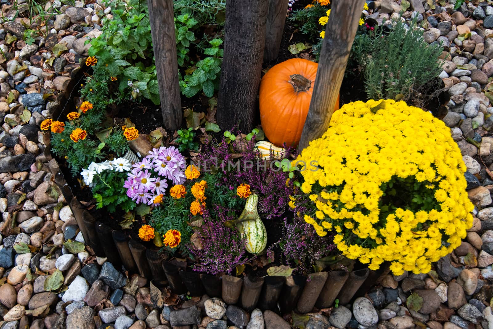 Flower and vegetables arrangements for halloween.