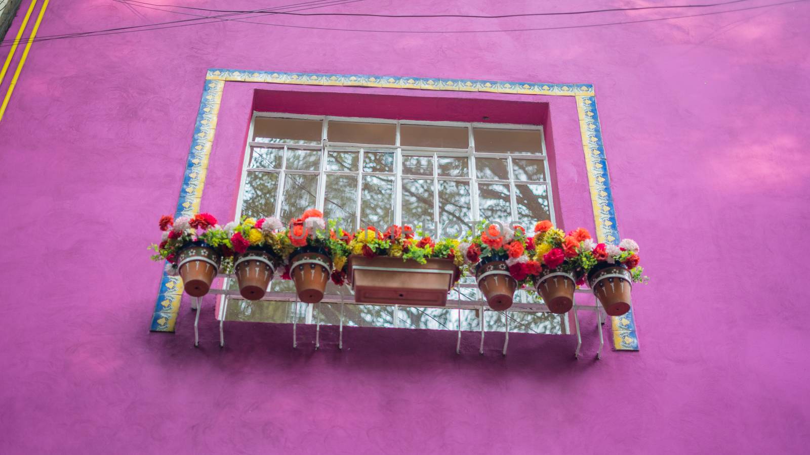 Picture of a window from a pink house with colorful flowers outside