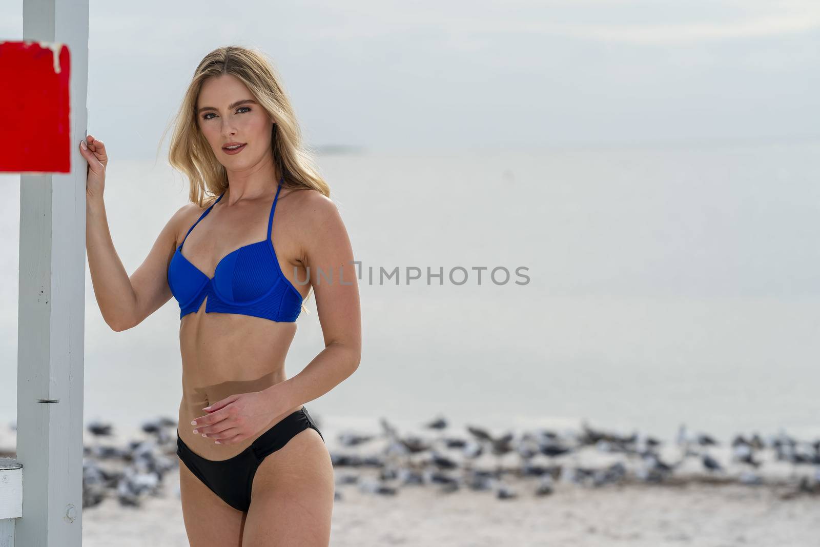 Lovely Blonde Bikini Model Posing Outdoors On A Caribbean Beach Near A Lifeguard Station by actionsports
