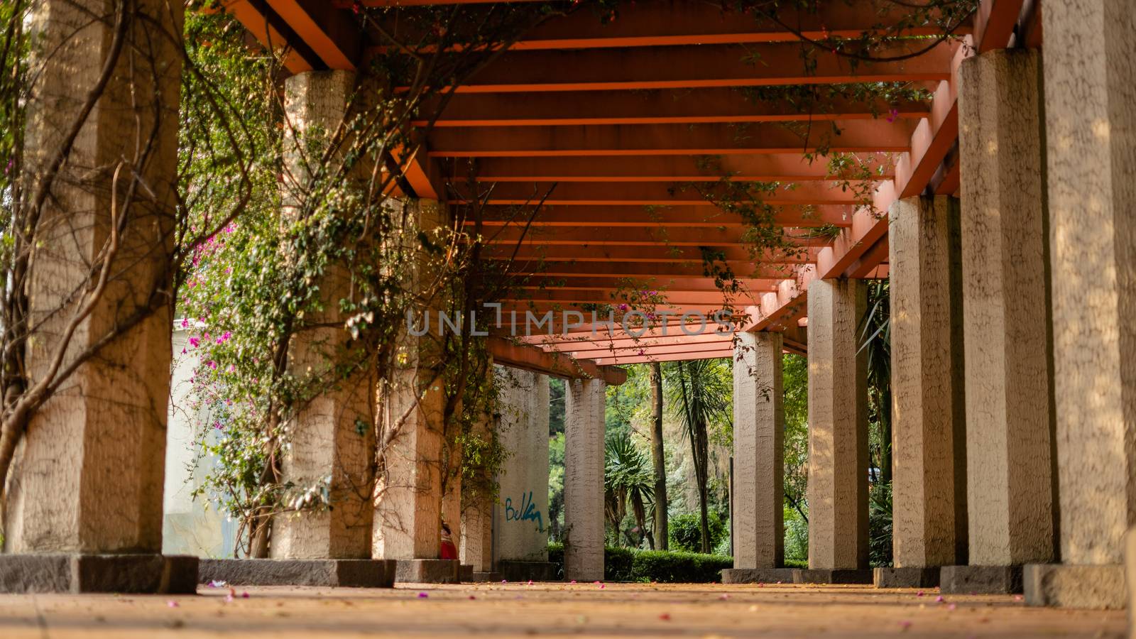 Low angle picture of a pergola looking structure over a path surrounded by columns in a park
