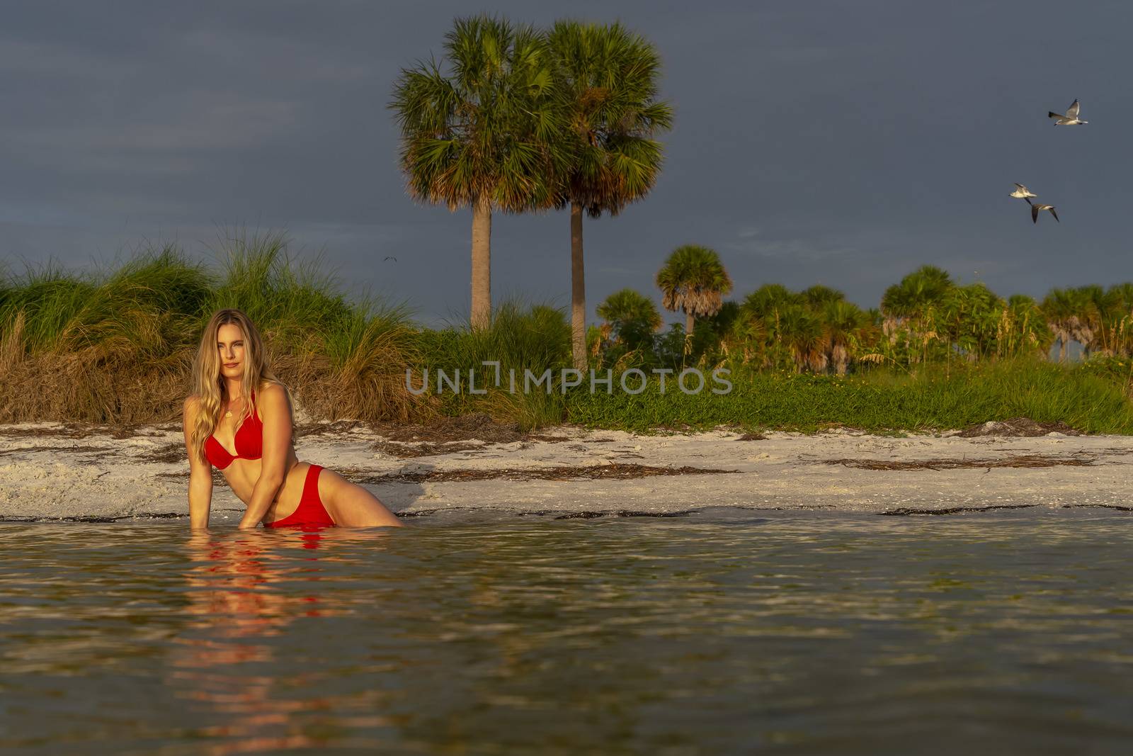 A beautiful blonde bikini model enjoys the weather outdoors on the beach