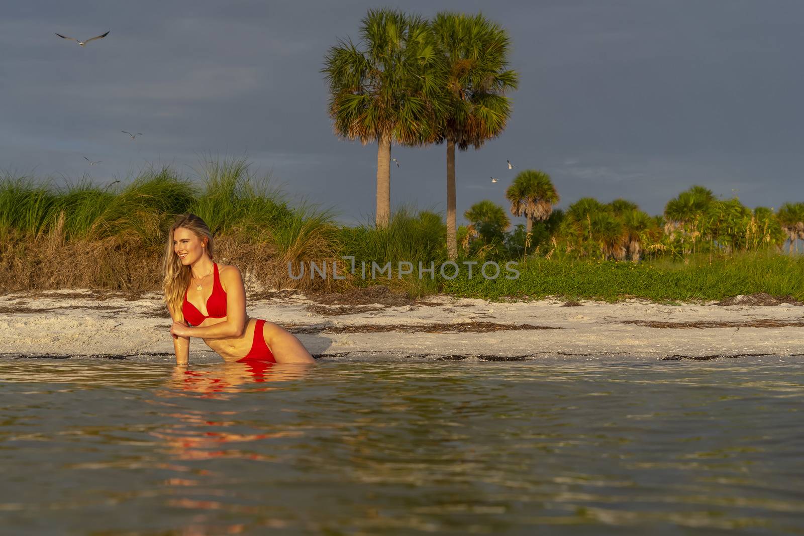 A beautiful blonde bikini model enjoys the weather outdoors on the beach