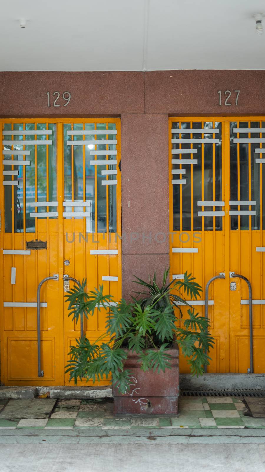 Portrait style picture of two orange doors with a plant in between, and the numbers 129 and 127 over them