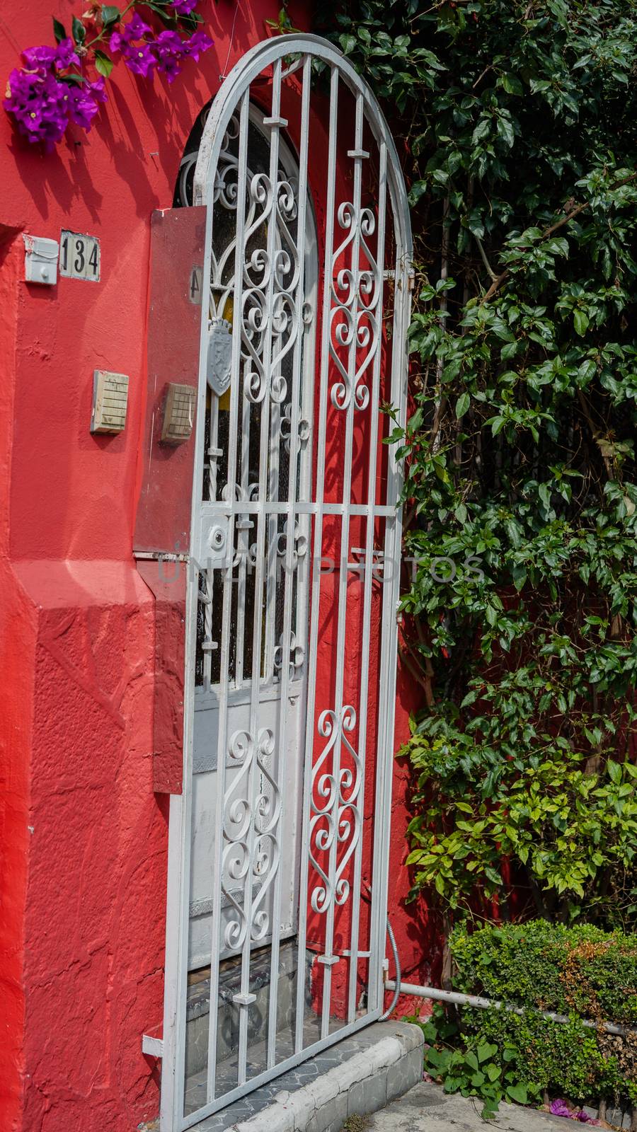 Portrait style picture of a lattice door next to some plants and bushes from a red house