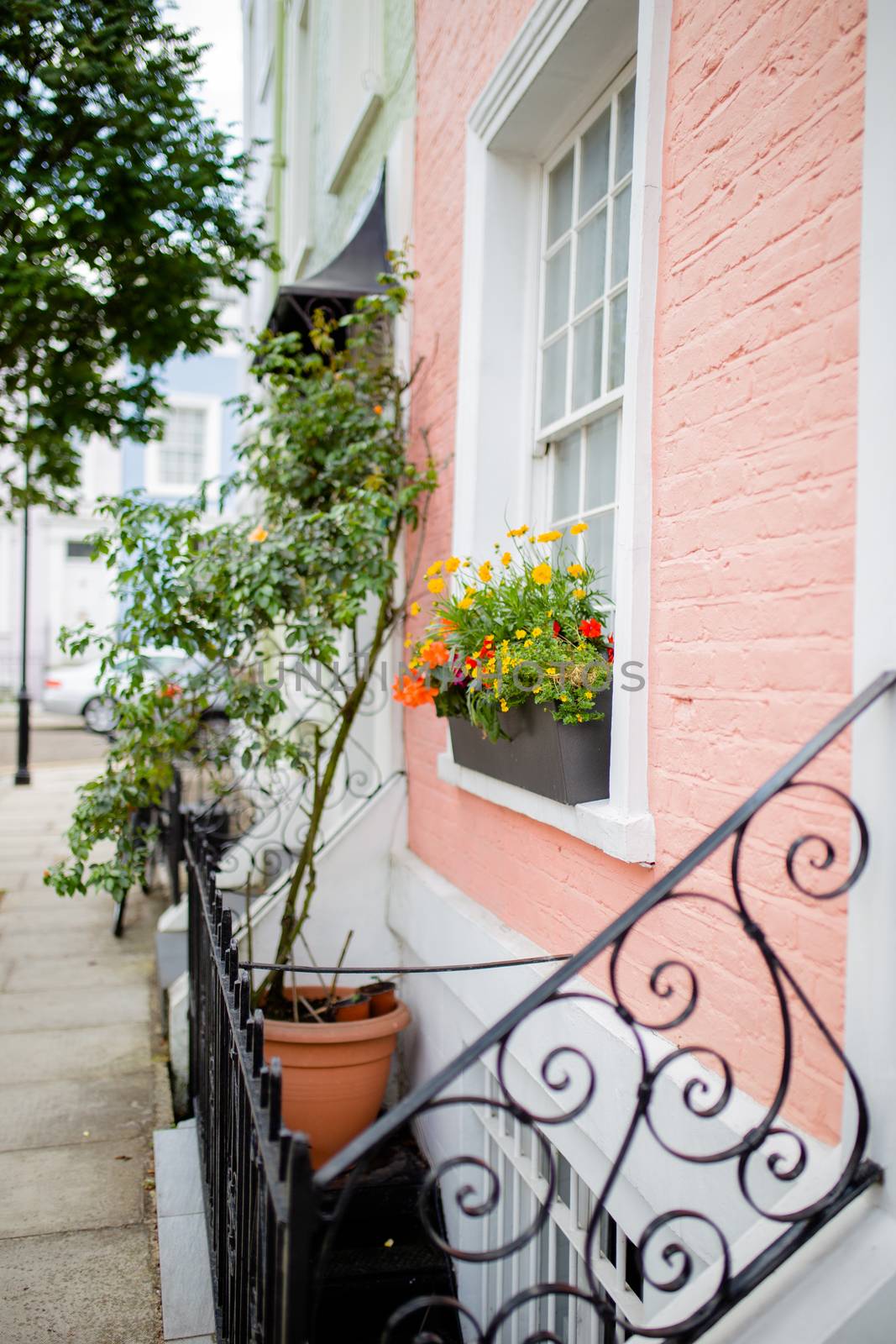 Portrait style picture of a small pink and white British house decorated with flowers and plants
