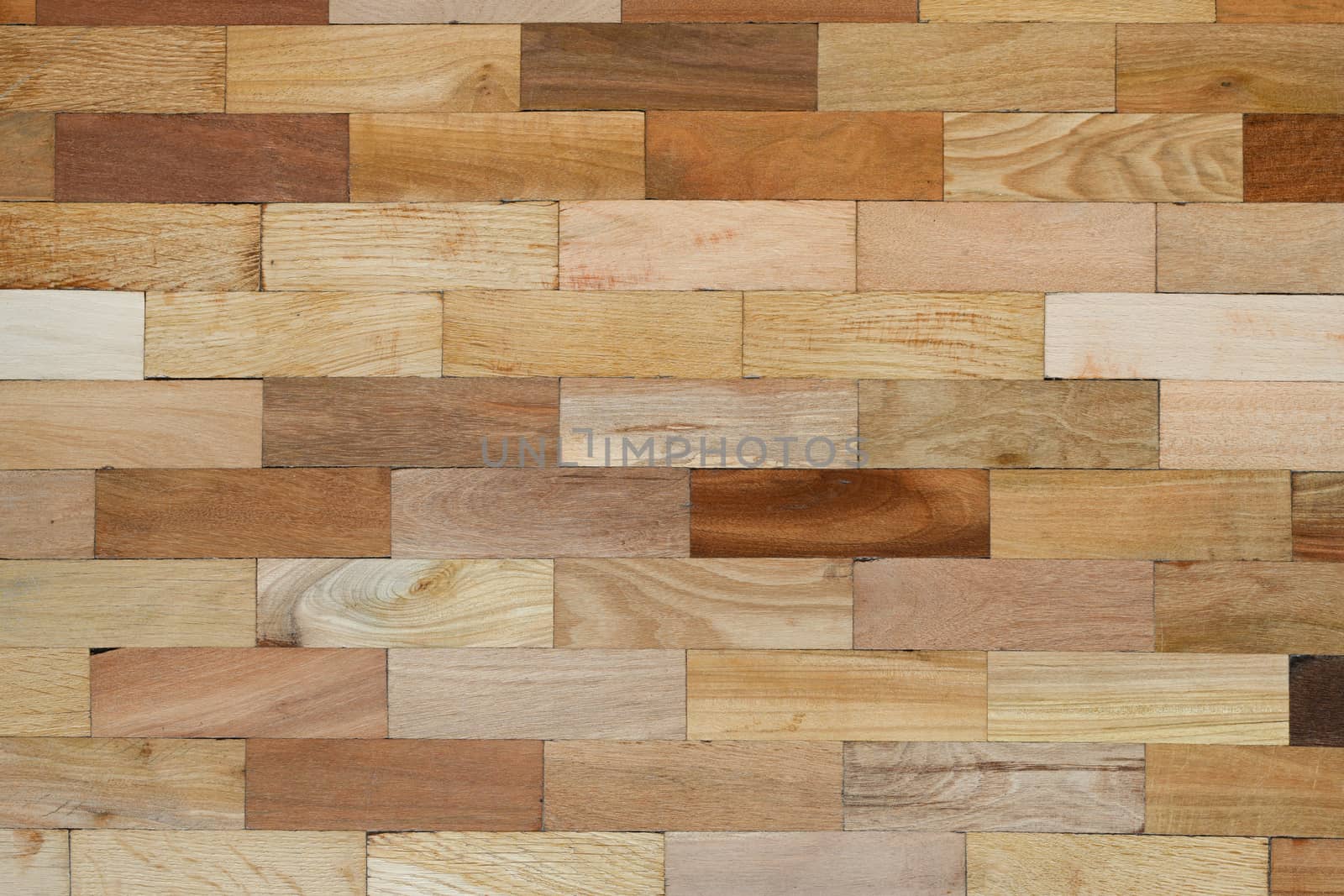 Colour Wooden floor for buildingmaterials Multi color in your desk