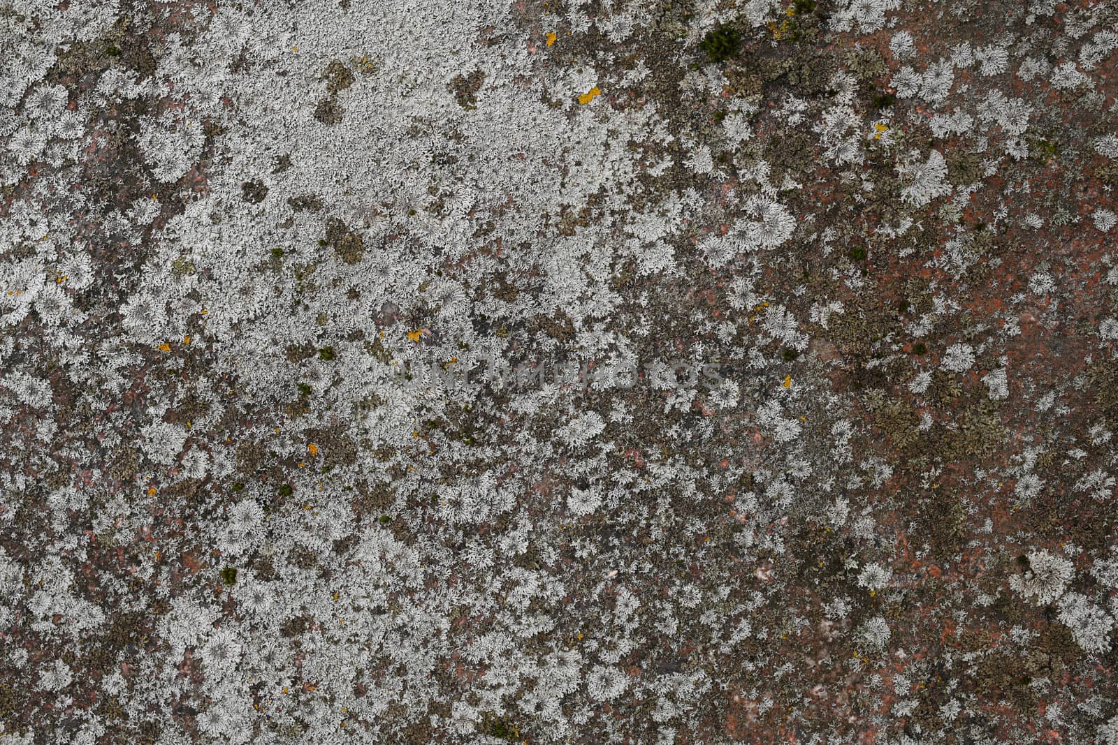 Abstract colorful cement texture and background with cracks