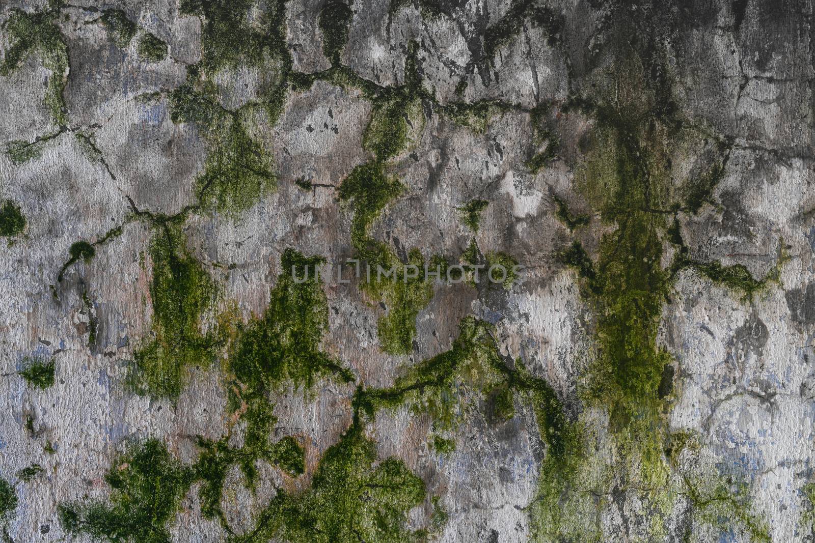 Abstract colorful cement wall texture and background with cracks by sashokddt