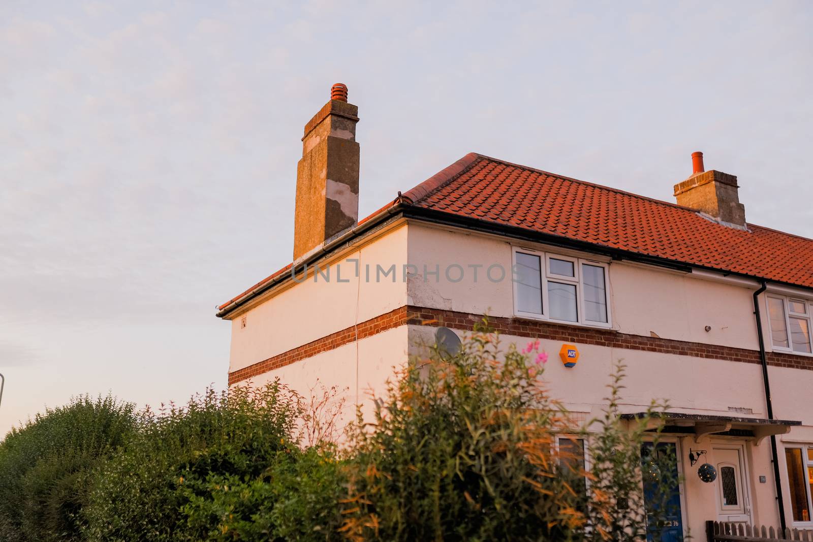 Picture of a pink color house with trees outside and a gray cloudy sky as background