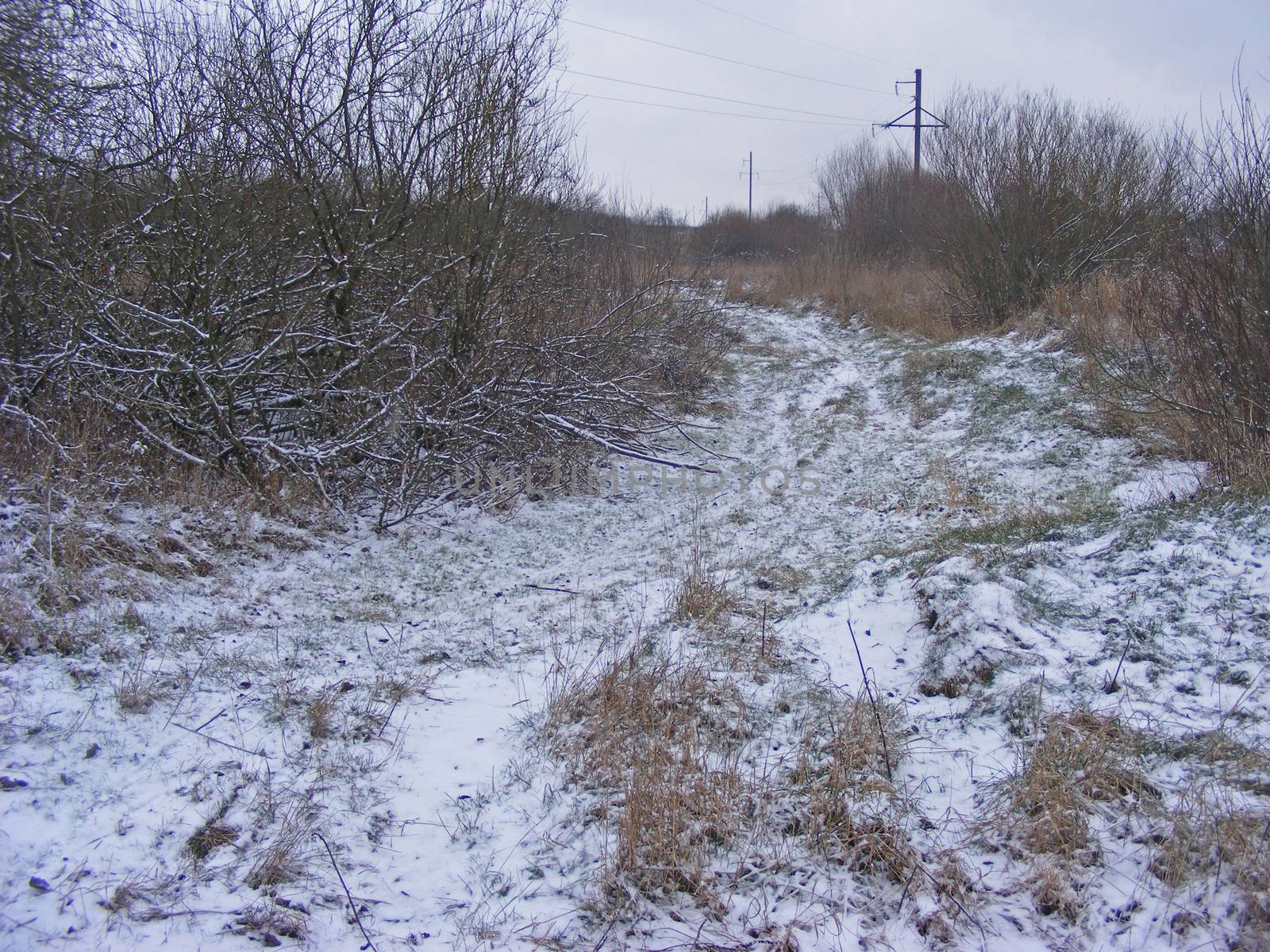 Single lane rural road pathway in a white mist. First snow. Atmospheric autumn landscape. by annaolgabymonaco