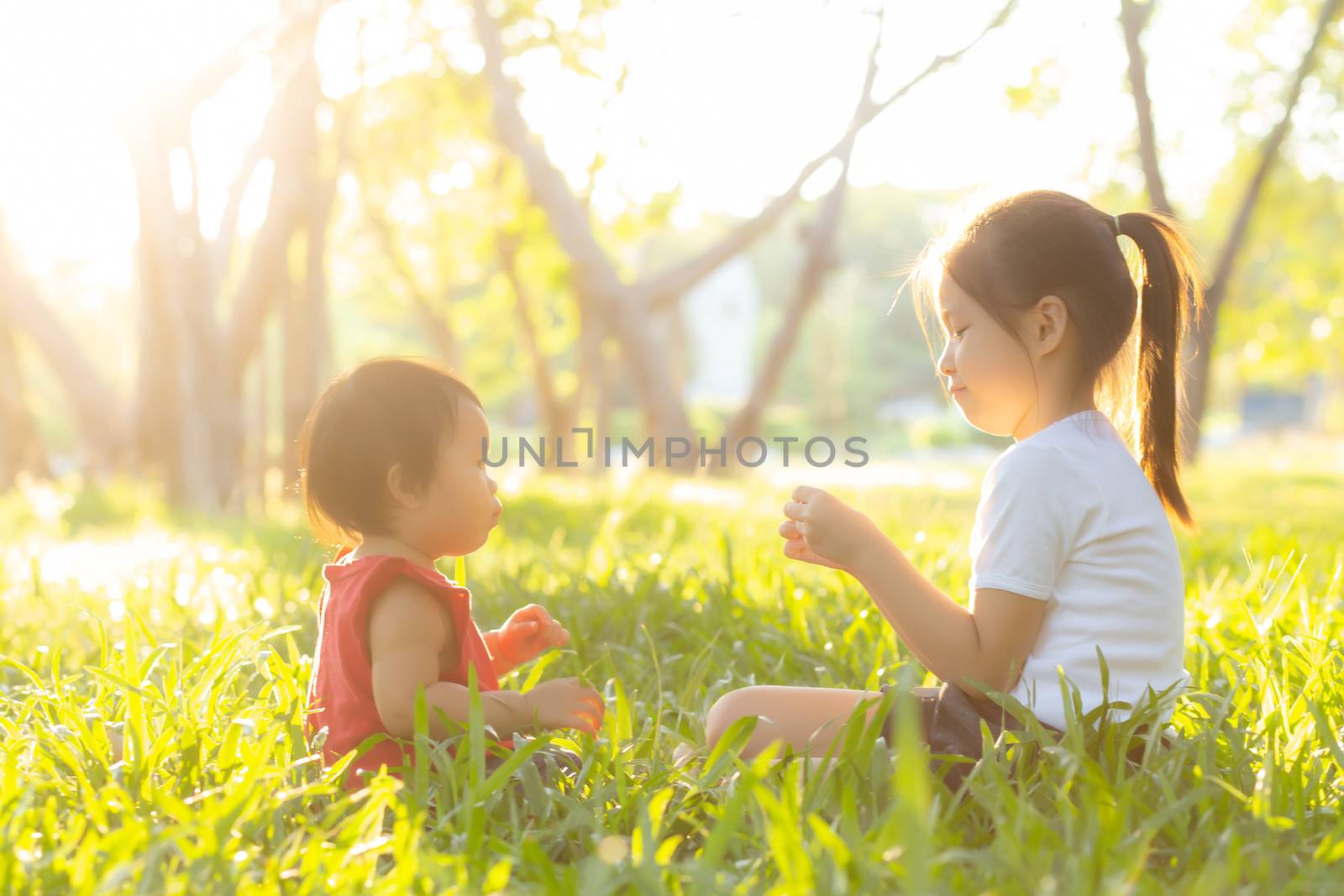 Beautiful young asian kid sitting playing in summer in the park with enjoy and cheerful on green grass, children activity with relax and happiness together on meadow, family and holiday concept.