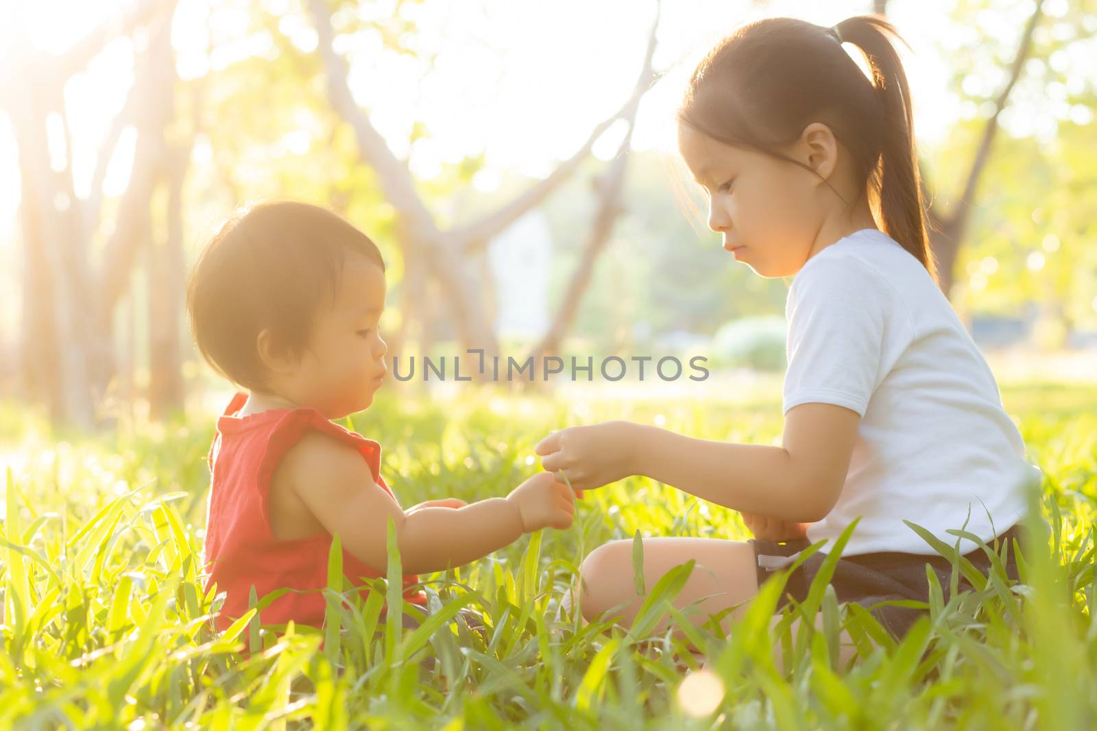 Beautiful young asian kid sitting playing in summer in the park with enjoy and cheerful on green grass, children activity with relax and happiness together on meadow, family and holiday concept.