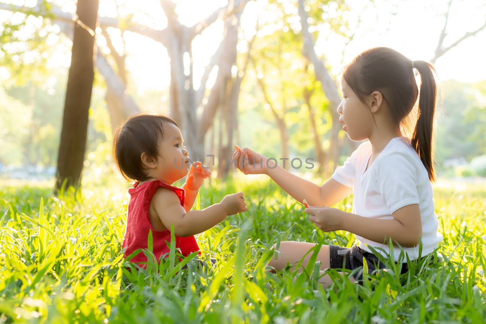 Beautiful young asian kid sitting playing in summer in the park with enjoy and cheerful on green grass, children activity with relax and happiness together on meadow, family and holiday concept.