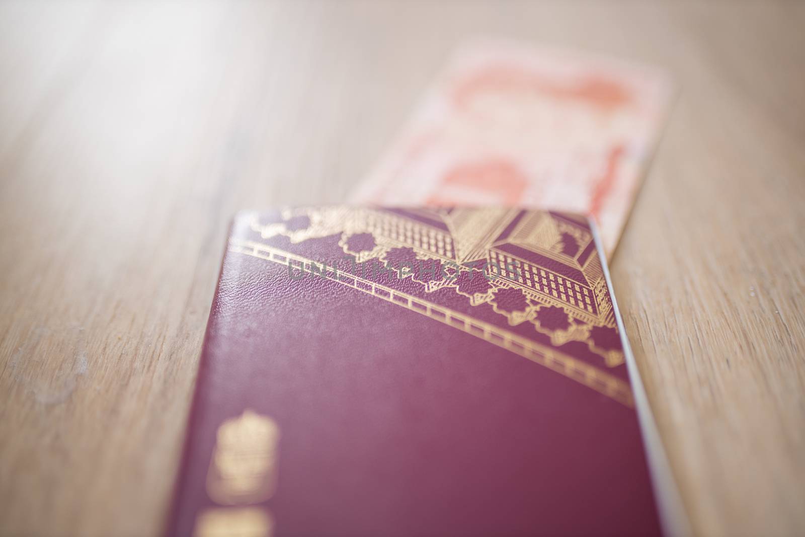 Picture of a Swedish Passport on top of a Blurry Honduran Lempira Bill