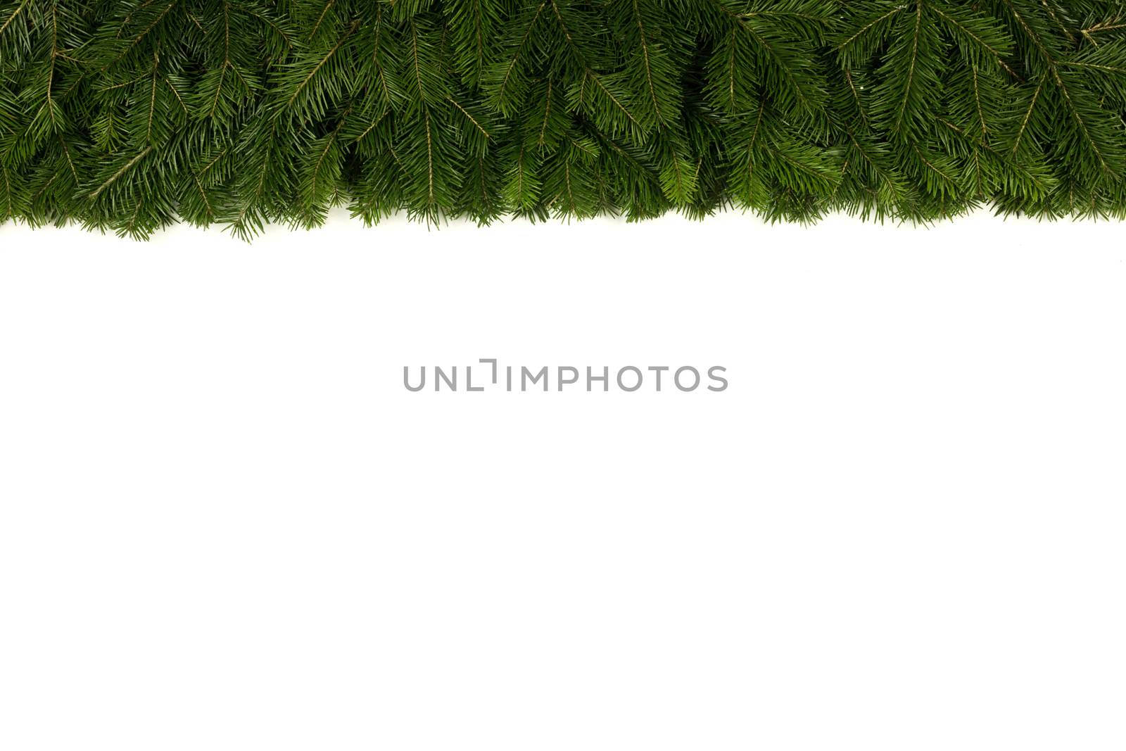 Natural fir Christmas tree border frame isolated on white , copy space for text