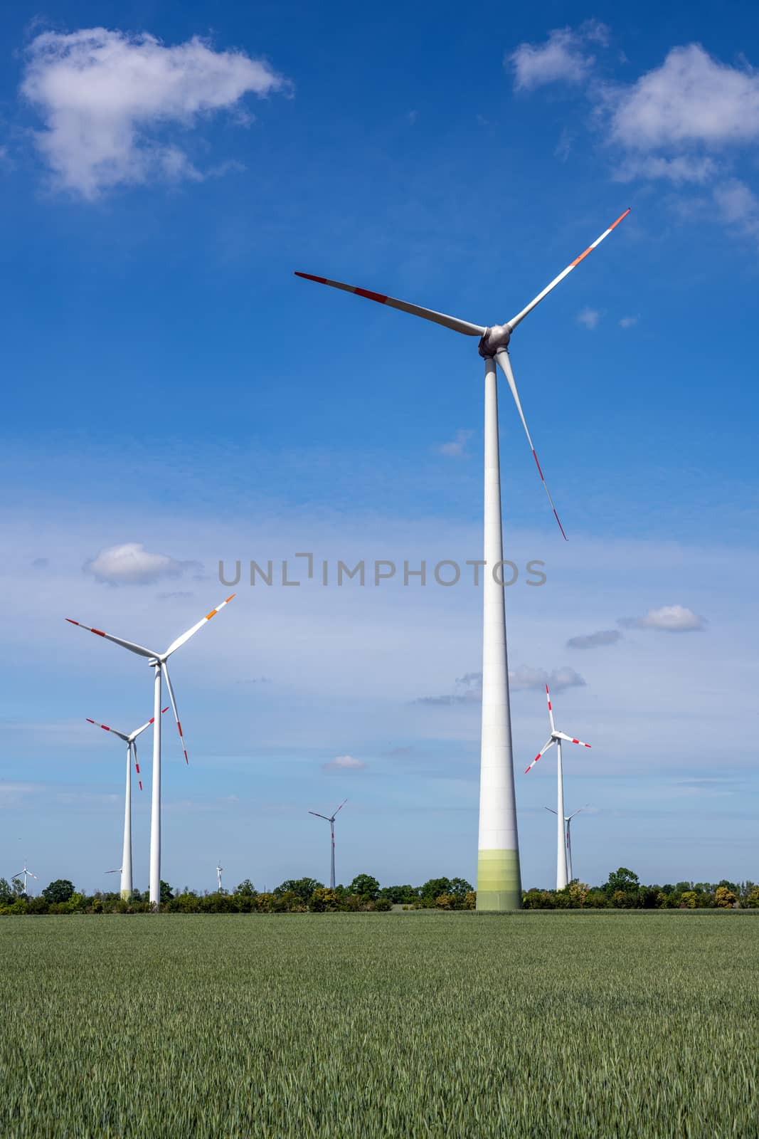 Wind turbines in a grain field by elxeneize