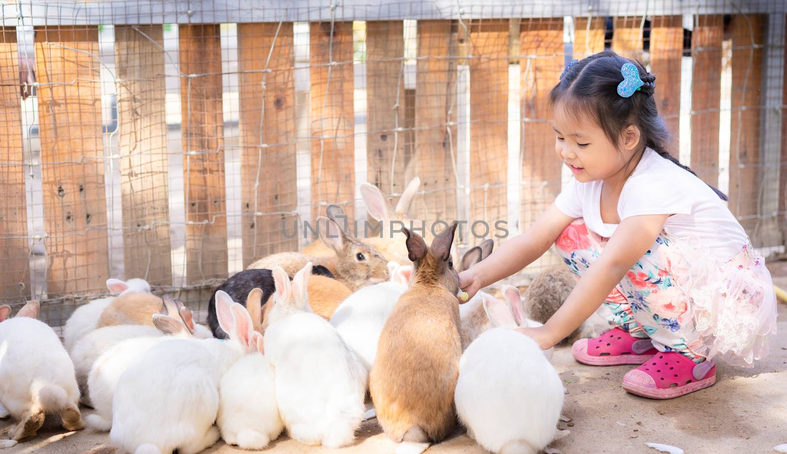 Cute little asian girl feeding rabbit on the farm