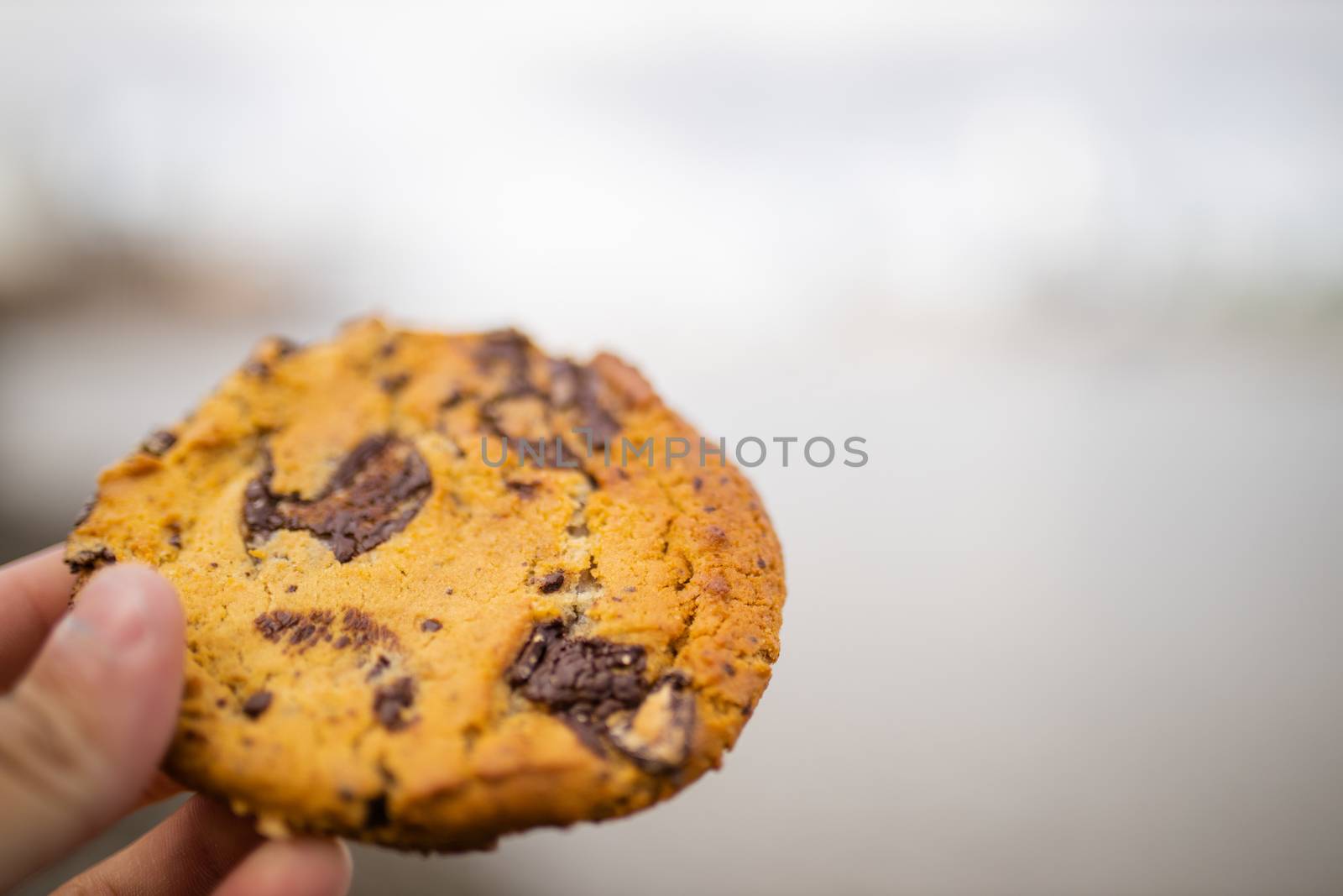 Landscape View of a Hand Holding a Chocolate Chips Cookie with a Very Blurry Gray River as Background