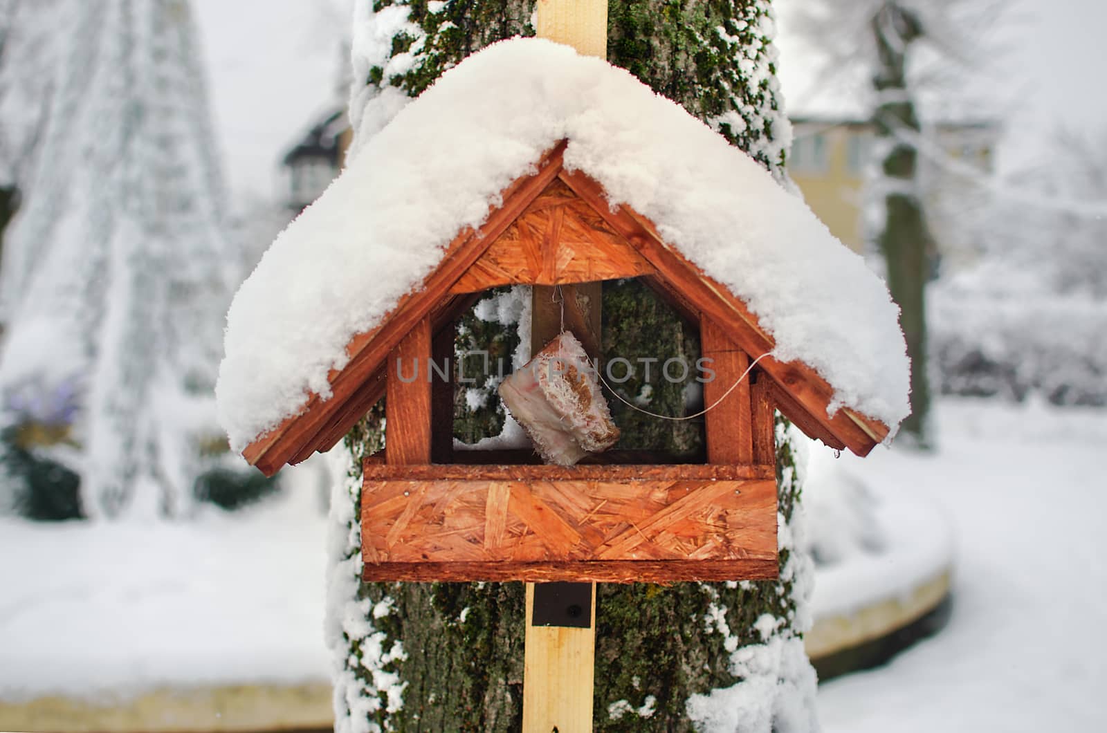Wooden feeder roof is full of snow and some hanging slice of bacon is inside. Concept of winter bird care feeding in the city or village. Wildlife Day
