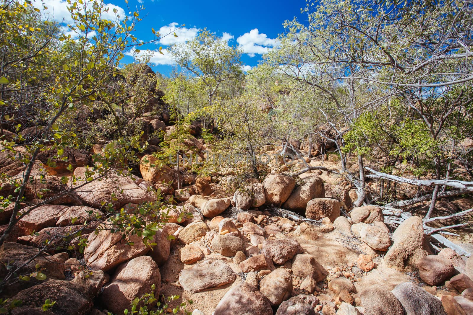 O'Brien's Creek and surrounding gem fossicking landscape near Mount Surprise in Queensland, Australia