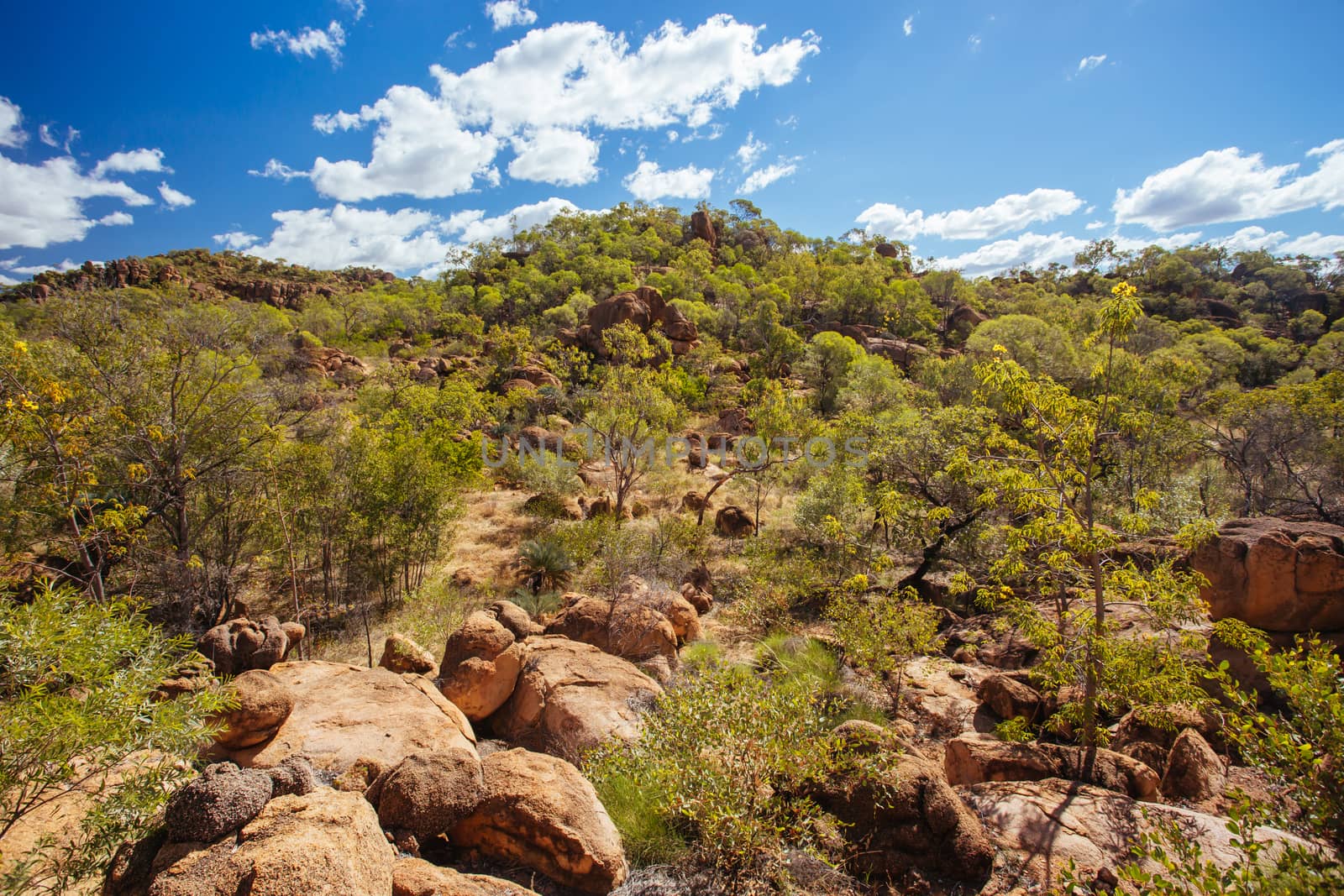 O'Brien's Creek and surrounding gem fossicking landscape near Mount Surprise in Queensland, Australia