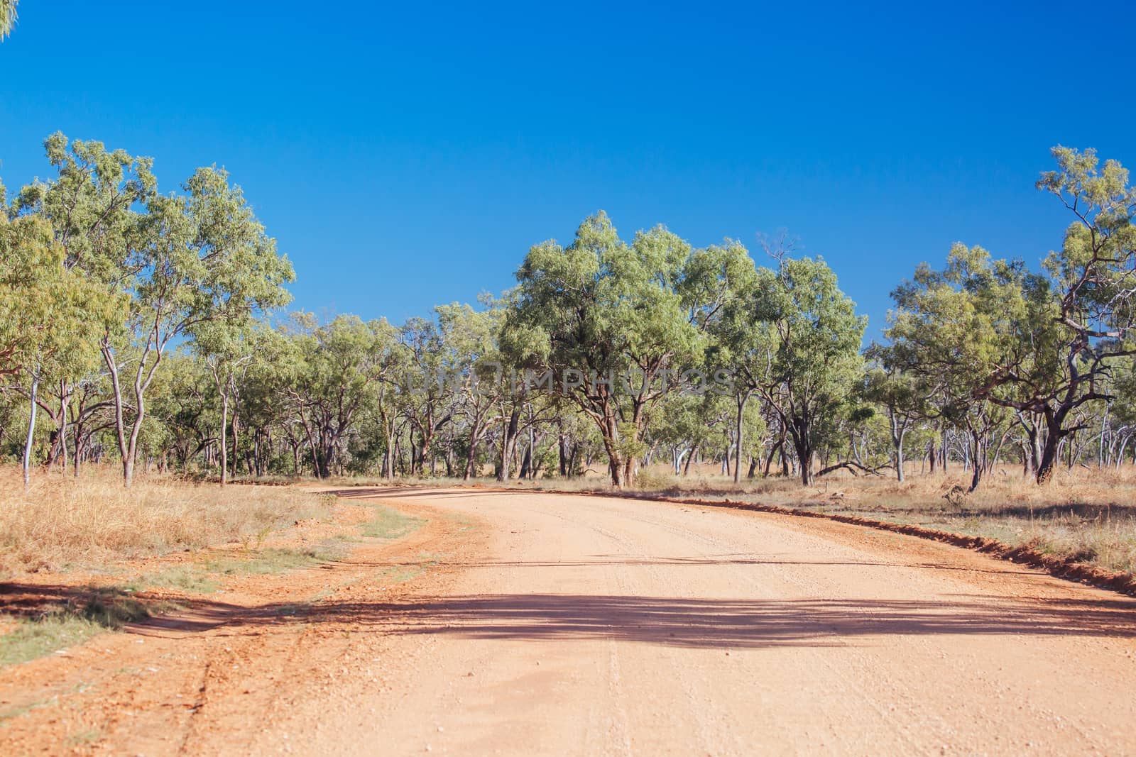 O'Brien's Creek Rd near Mount Surprise in Queensland, Australia