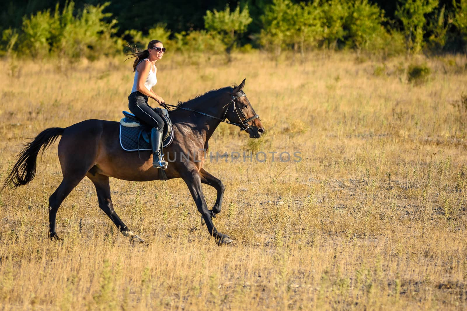 Girl rides a horse across the field on a sunny day by Madhourse