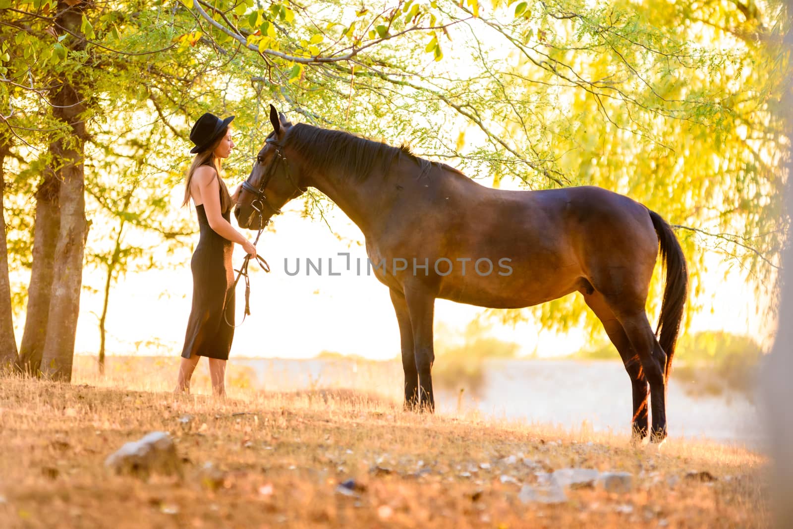 Beautiful girl stands with a horse in the forest at sunset with beautiful backlighting