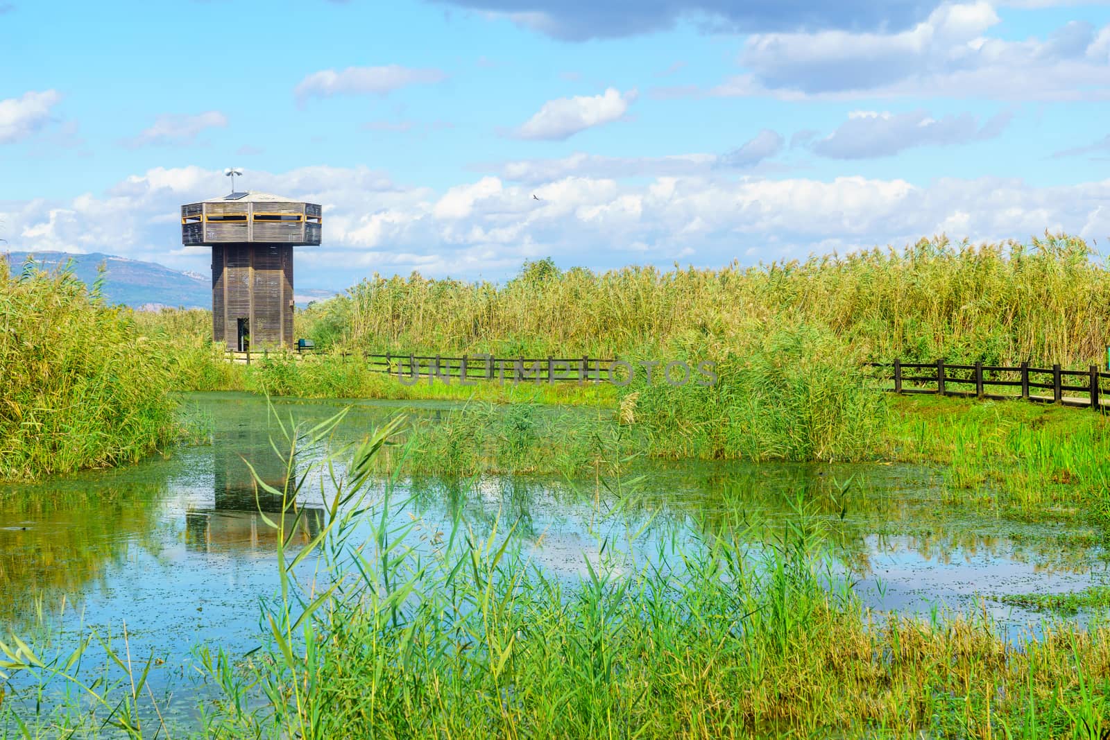 View of the observation tower, with wetland landscape, in the Hula nature reserve, northern Israel